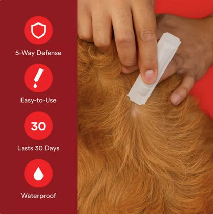 Advecta Ultra Flea and Tick Protection for Extra-Large Dogs 55 lb. and Up, 4 ct.