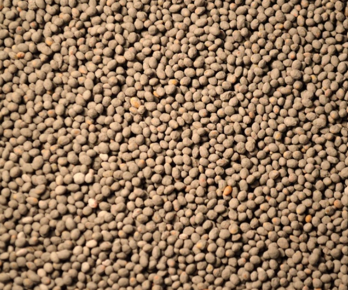 Frosty Berseem Clover (winter forage)- 50#