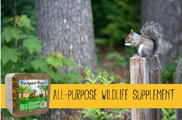 Backyard Buffet™ Wildlife Block