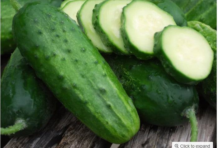 Boston Pickling Cucumber seed - 1 oz. package