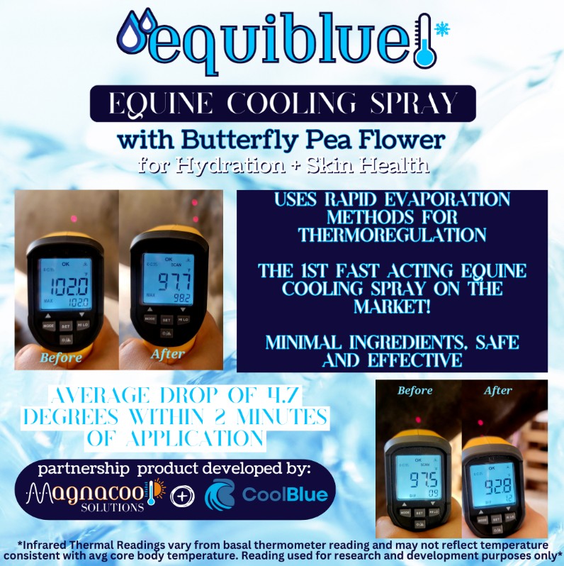 EquiBlue Equine Cooling Spray