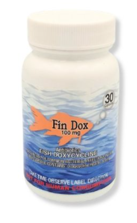 Fin Dox - Doxycycline - 100 mg., 30 ct. bottle