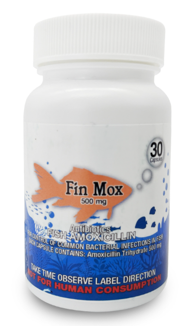 Fin Mox Fish amoxicillin - 500 mg., 30 ct. bottle