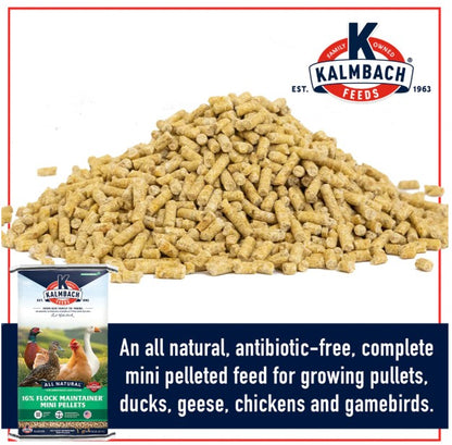 Kalmbach 16% Flock maintainer - poultry feed