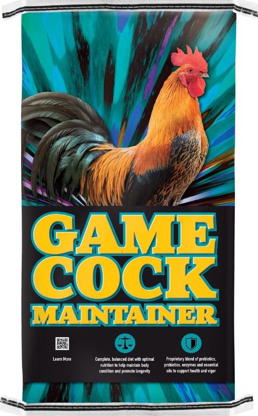 Kalmbach 14% Gametime Gamecock Maintenance