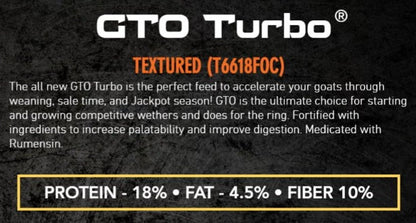 Formula of Champions GTO Turbo show goat feed