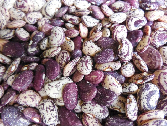 Jackson Wonder Lima Bean - 1 pound
