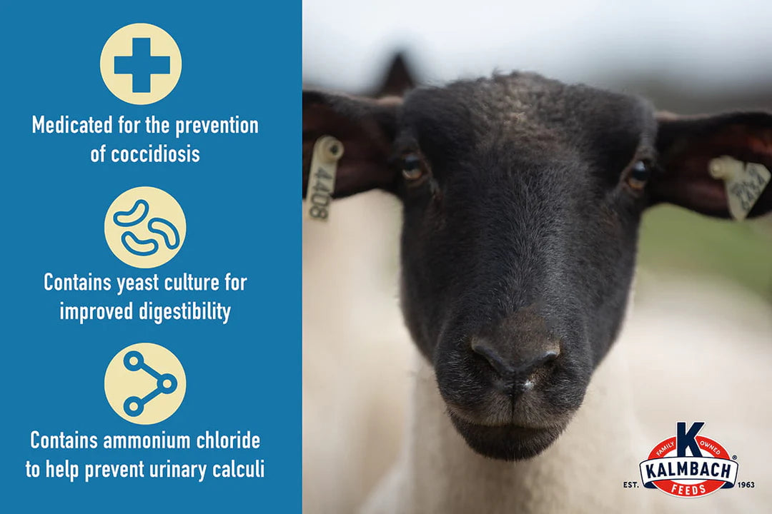 16% ewe builder pellet bov