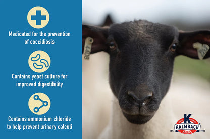 16% ewe builder pellet bov