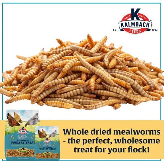 Henhouse Reserve Love Bug­™ Mealworm Treats