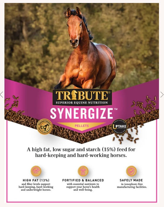 Tribute Synergize