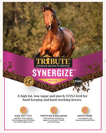 Tribute Synergize