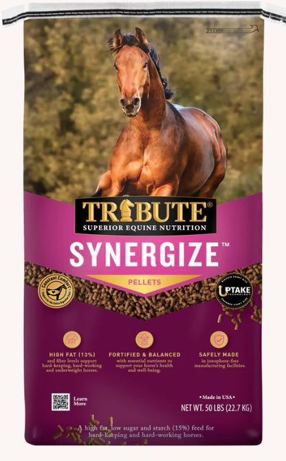 Tribute Synergize