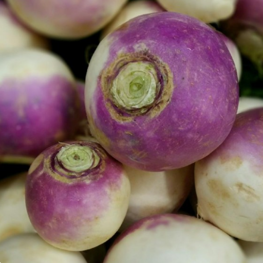Purple Top White Globe Turnip Seeds